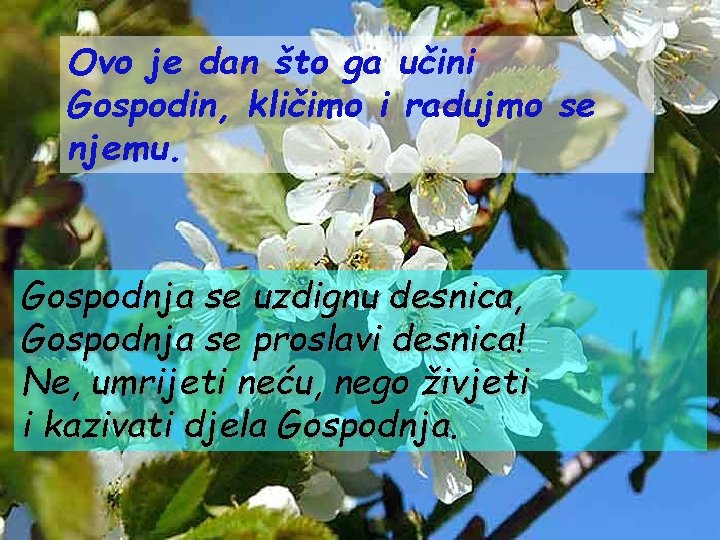 Ovo je dan što ga učini Gospodin, kličimo i radujmo se njemu. Gospodnja se