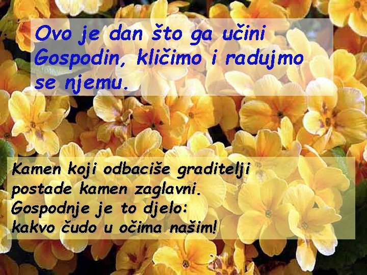 Ovo je dan što ga učini Gospodin, kličimo i radujmo se njemu. Kamen koji