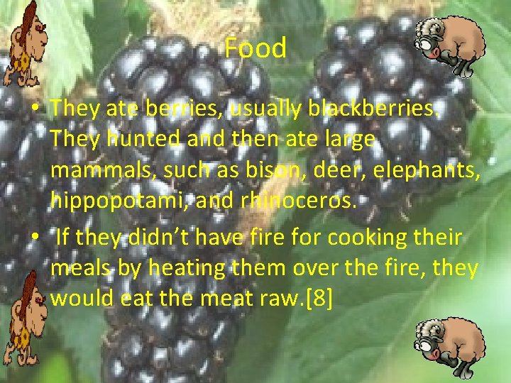 Food • They ate berries, usually blackberries. They hunted and then ate large mammals,