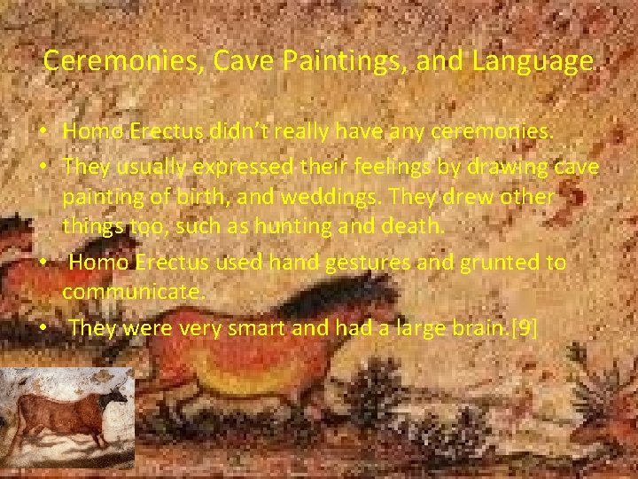 Ceremonies, Cave Paintings, and Language • Homo Erectus didn’t really have any ceremonies. •