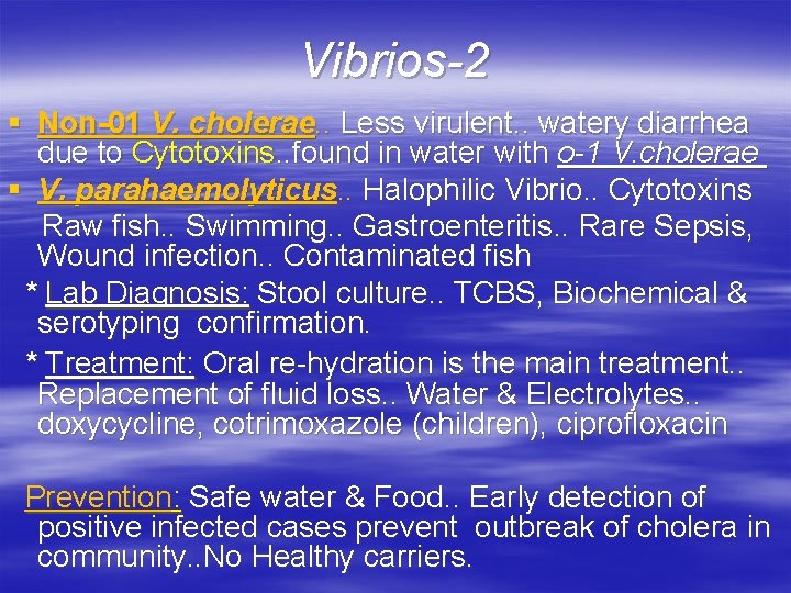 Vibrios-2 § Non-01 V. cholerae. . Less virulent. . watery diarrhea due to Cytotoxins.