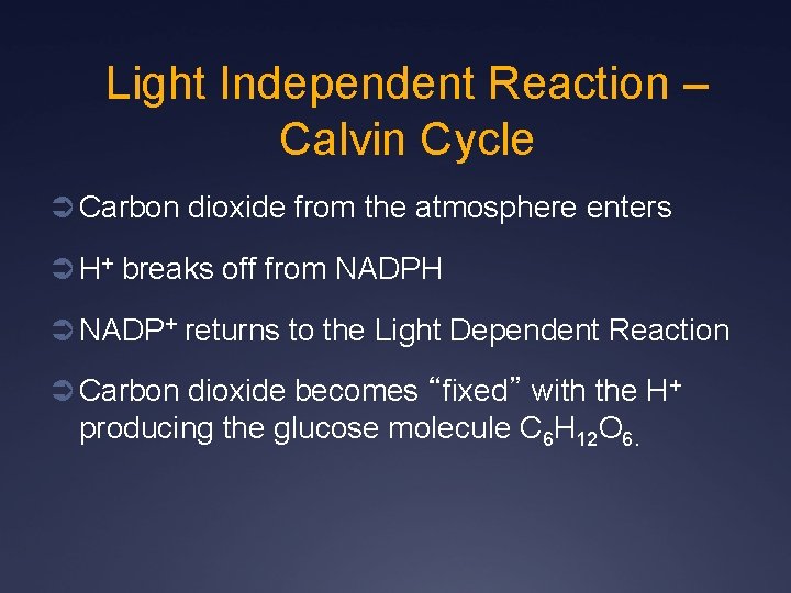 Light Independent Reaction – Calvin Cycle Ü Carbon dioxide from the atmosphere enters Ü