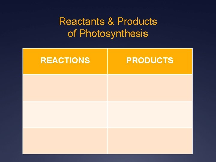 Reactants & Products of Photosynthesis REACTIONS PRODUCTS 