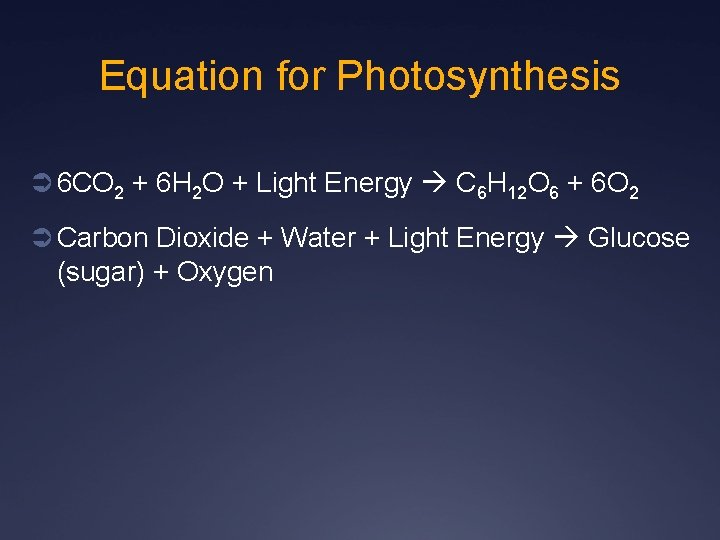 Equation for Photosynthesis Ü 6 CO 2 + 6 H 2 O + Light