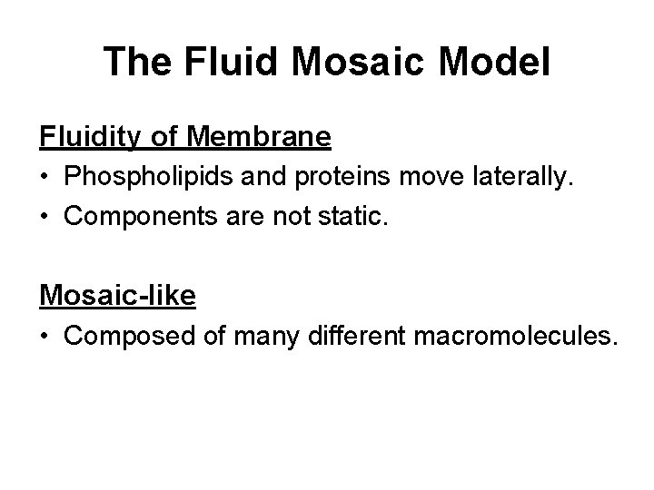 The Fluid Mosaic Model Fluidity of Membrane • Phospholipids and proteins move laterally. •