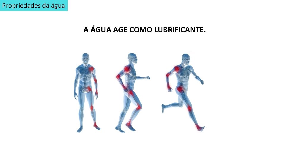 Propriedades da água A ÁGUA AGE COMO LUBRIFICANTE. 