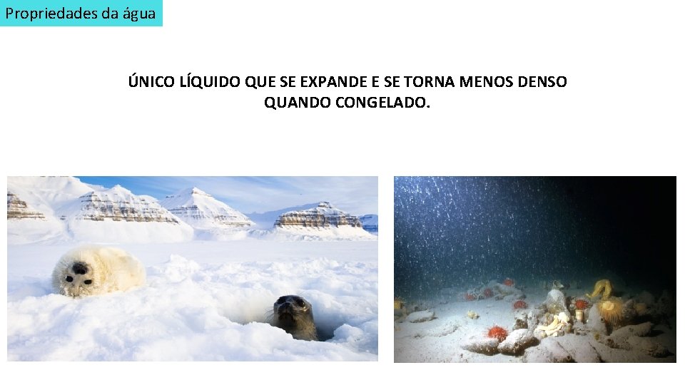 Propriedades da água ÚNICO LÍQUIDO QUE SE EXPANDE E SE TORNA MENOS DENSO QUANDO
