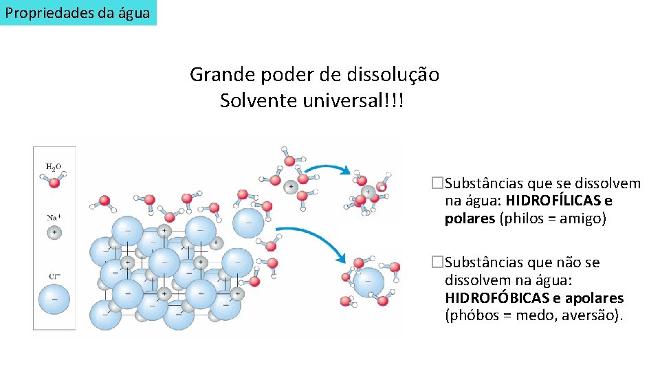 Propriedades da água Grande poder de dissolução Solvente universal!!! �Substâncias que se dissolvem na