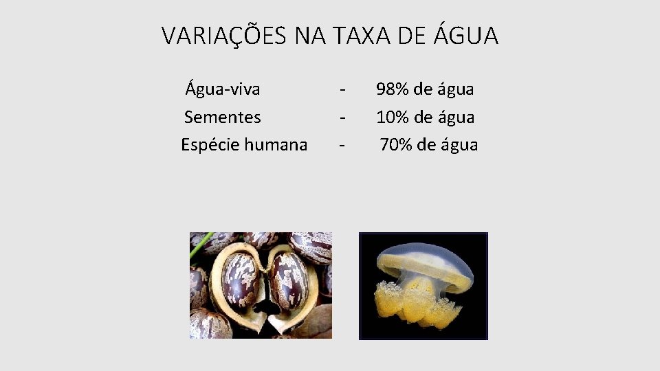 VARIAÇÕES NA TAXA DE ÁGUA Água-viva Sementes Espécie humana - 98% de água 10%