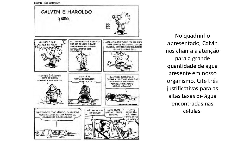 No quadrinho apresentado, Calvin nos chama a atenção para a grande quantidade de água