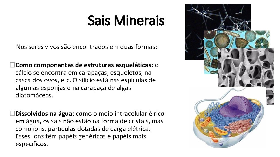Sais Minerais Nos seres vivos são encontrados em duas formas: �Como componentes de estruturas