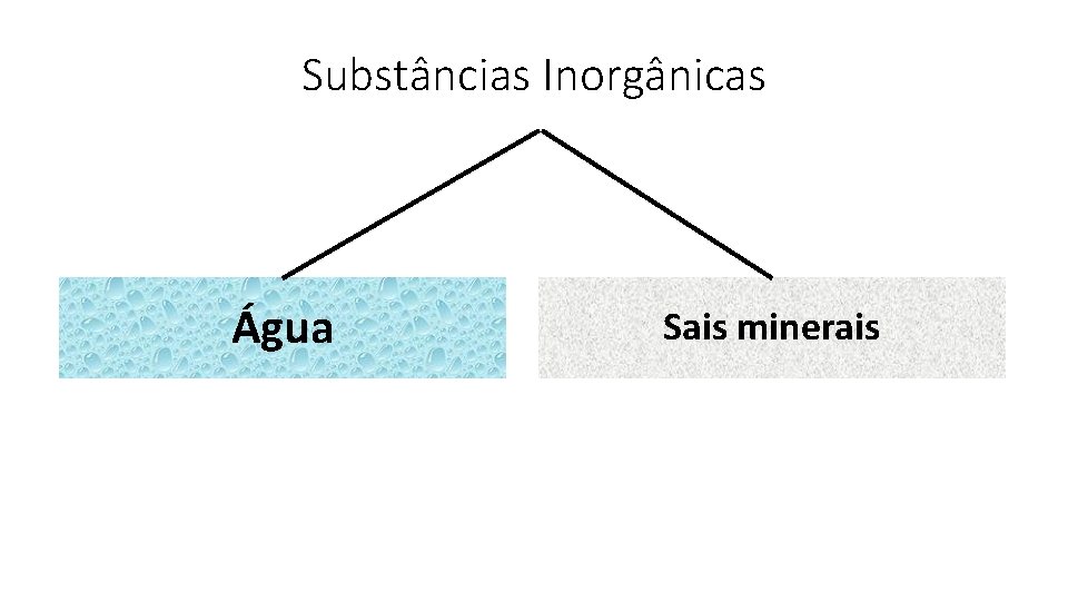 Substâncias Inorgânicas Água Sais minerais 
