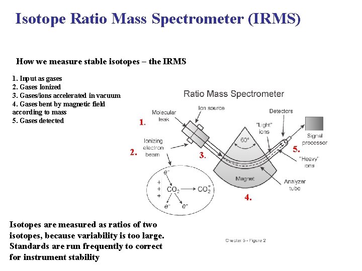 Isotope Ratio Mass Spectrometer (IRMS) How we measure stable isotopes – the IRMS 1.
