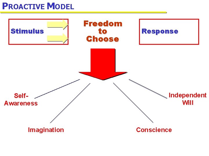 PROACTIVE MODEL Stimulus Self. Awareness Imagination Freedom to Choose Response Independent Will Conscience 