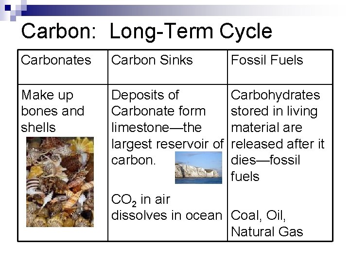 Carbon: Long-Term Cycle Carbonates Carbon Sinks Fossil Fuels Make up bones and shells Deposits