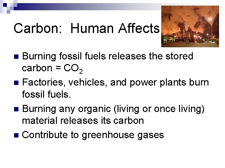 Carbon: Human Affects Burning fossil fuels releases the stored carbon = CO 2 n