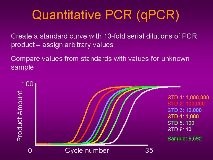 Quantitative PCR (q. PCR) Create a standard curve with 10 -fold serial dilutions of