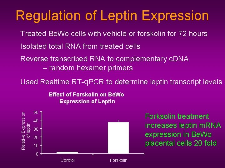 Regulation of Leptin Expression Treated Be. Wo cells with vehicle or forskolin for 72