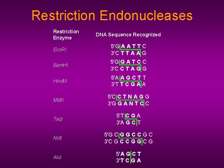 Restriction Endonucleases Restriction Enzyme DNA Sequence Recognized Eco. RI 5'G A A T T
