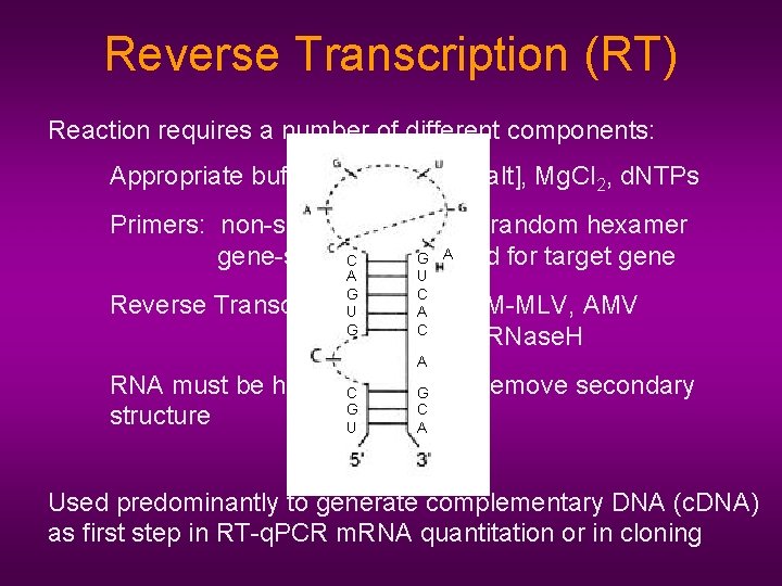 Reverse Transcription (RT) Reaction requires a number of different components: Appropriate buffer conditions -