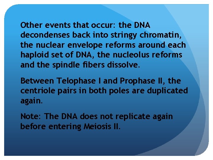 Other events that occur: the DNA decondenses back into stringy chromatin, the nuclear envelope