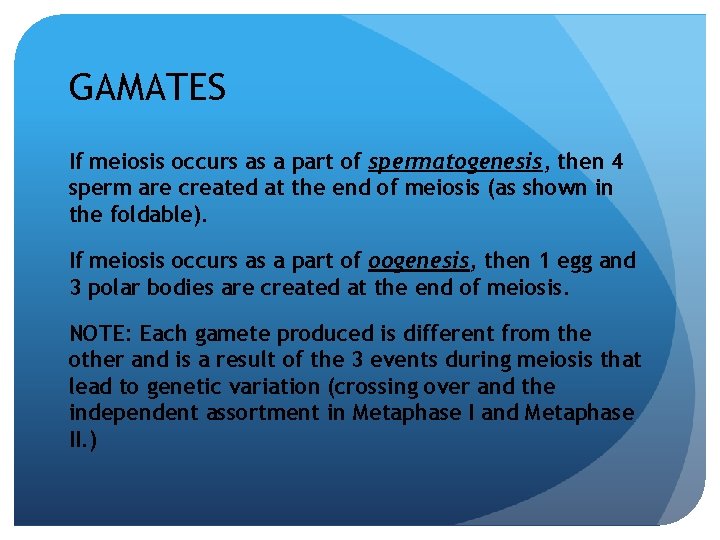 GAMATES If meiosis occurs as a part of spermatogenesis, then 4 sperm are created