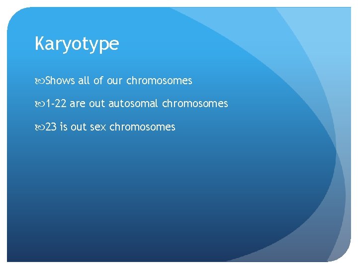 Karyotype Shows all of our chromosomes 1 -22 are out autosomal chromosomes 23 is