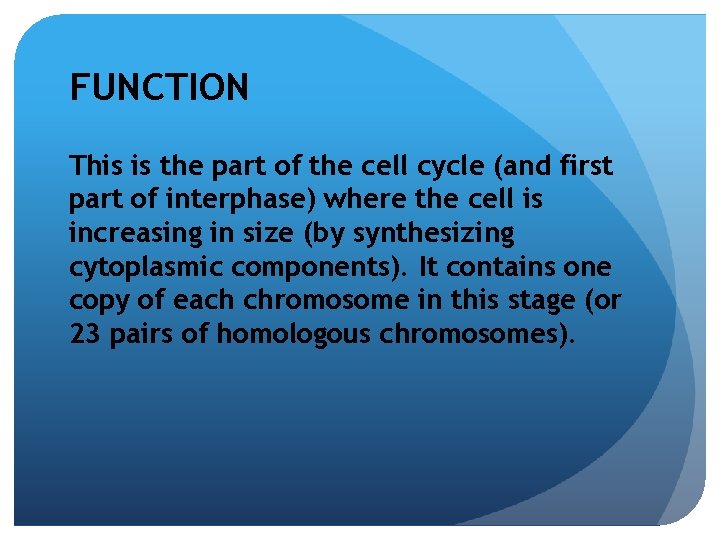 FUNCTION This is the part of the cell cycle (and first part of interphase)