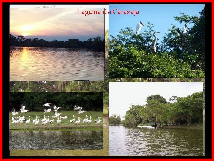 Laguna de Catazaja Photo © 2007 por ernesto 100172 