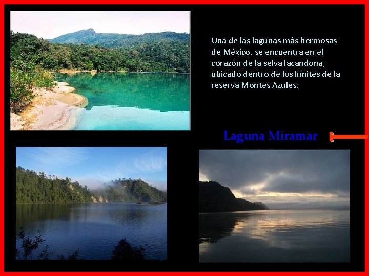 Una de las lagunas más hermosas de México, se encuentra en el corazón de