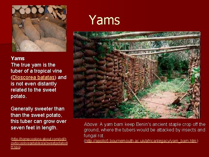 Yams The true yam is the tuber of a tropical vine (Dioscorea batatas) and
