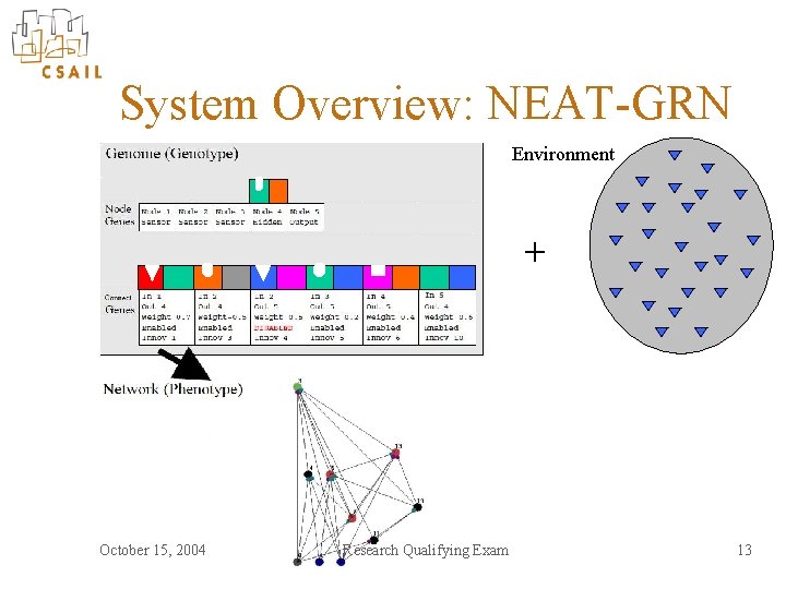 System Overview: NEAT-GRN Environment + October 15, 2004 Research Qualifying Exam 13 