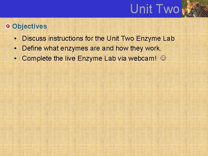 Unit Two Objectives • Discuss instructions for the Unit Two Enzyme Lab • Define