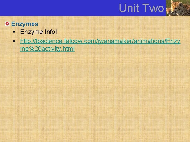 Unit Two Enzymes • Enzyme Info! • http: //lpscience. fatcow. com/jwanamaker/animations/Enzy me%20 activity. html