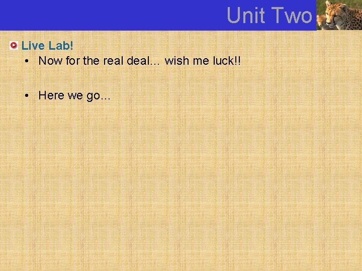 Unit Two Live Lab! • Now for the real deal… wish me luck!! •