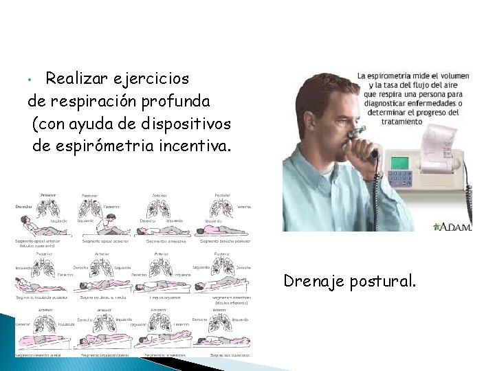 Realizar ejercicios de respiración profunda (con ayuda de dispositivos de espirómetria incentiva. • •