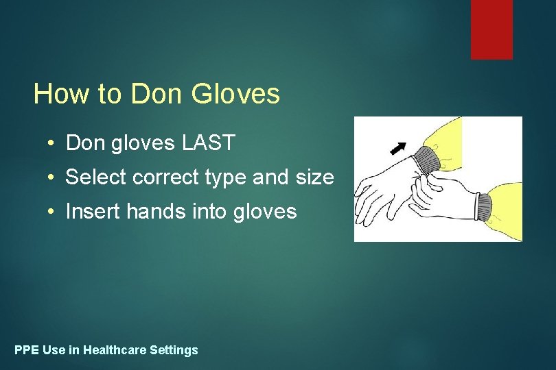 How to Don Gloves • Don gloves LAST • Select correct type and size