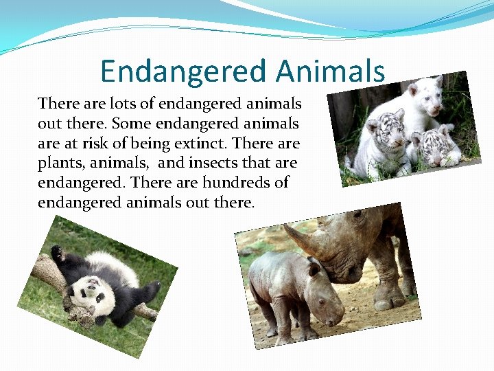 Endangered Animals There are lots of endangered animals out there. Some endangered animals are