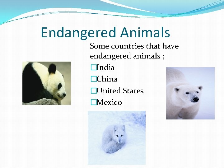 Endangered Animals Some countries that have endangered animals ; �India �China �United States �Mexico