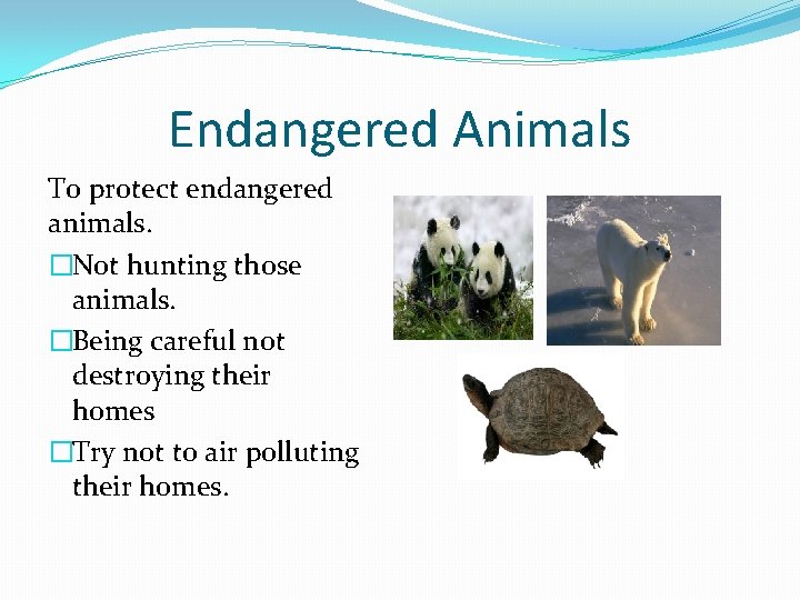 Endangered Animals To protect endangered animals. �Not hunting those animals. �Being careful not destroying