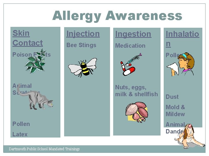 Allergy Awareness Skin Contact Injection Ingestion Bee Stings Medication Poison Plants Animal Scratches Inhalatio