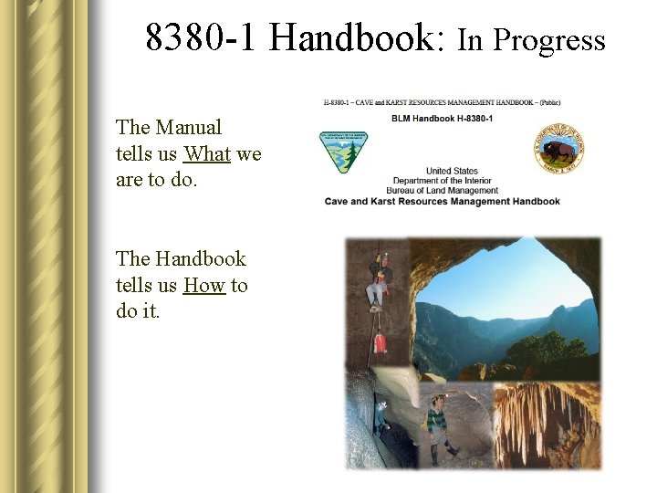 8380 -1 Handbook: In Progress The Manual tells us What we are to do.