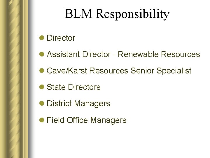 BLM Responsibility l Director l Assistant Director - Renewable Resources l Cave/Karst Resources Senior