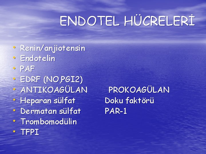 ENDOTEL HÜCRELERİ • • • Renin/anjiotensin Endotelin PAF EDRF (NO, PGI 2) ANTIKOAGÜLAN Heparan