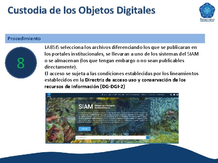 Custodia de los Objetos Digitales Procedimiento 8 LABSIS selecciona los archivos diferenciando los que