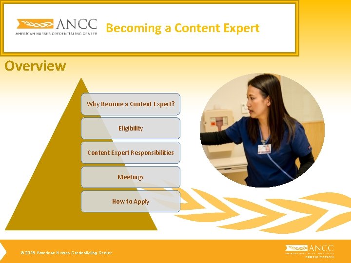 Becoming a Content Expert Overview Why Become a Content Expert? Eligibility Content Expert Responsibilities