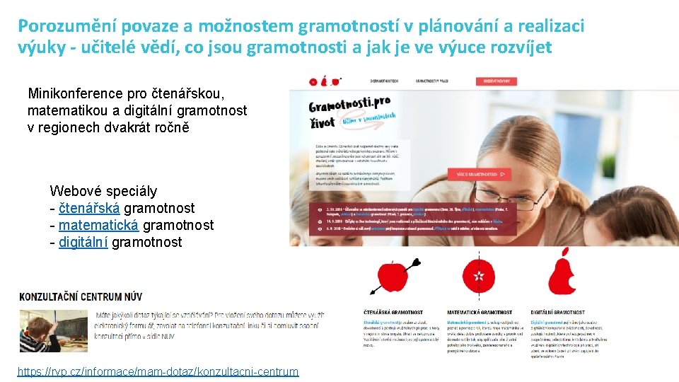 Porozumění povaze a možnostem gramotností v plánování a realizaci výuky - učitelé vědí, co