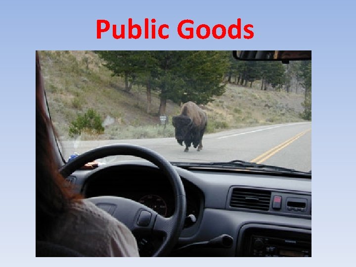 Public Goods 