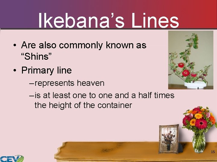 Ikebana’s Lines • Are also commonly known as “Shins” • Primary line – represents Ikebana’s Lines • Are also commonly known as “Shins” • Primary line – represents