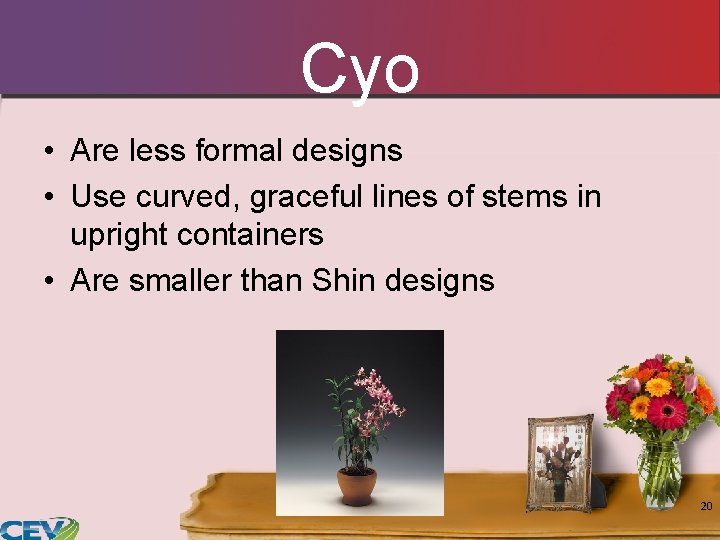 Cyo • Are less formal designs • Use curved, graceful lines of stems in Cyo • Are less formal designs • Use curved, graceful lines of stems in